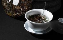 月光白茶和福鼎白茶究竟那个好im电竞app?-白茶之家