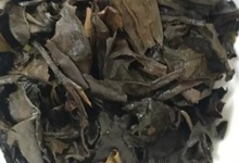 市场上的老白茶为何这么