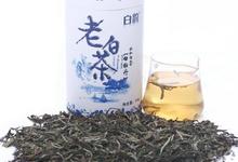 端午节买什么茶叶送人比较好?选择白牡丹我觉得很不错!-白茶之家