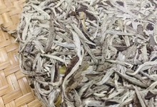 茶友说茶:不可一日无白茶-白茶之家